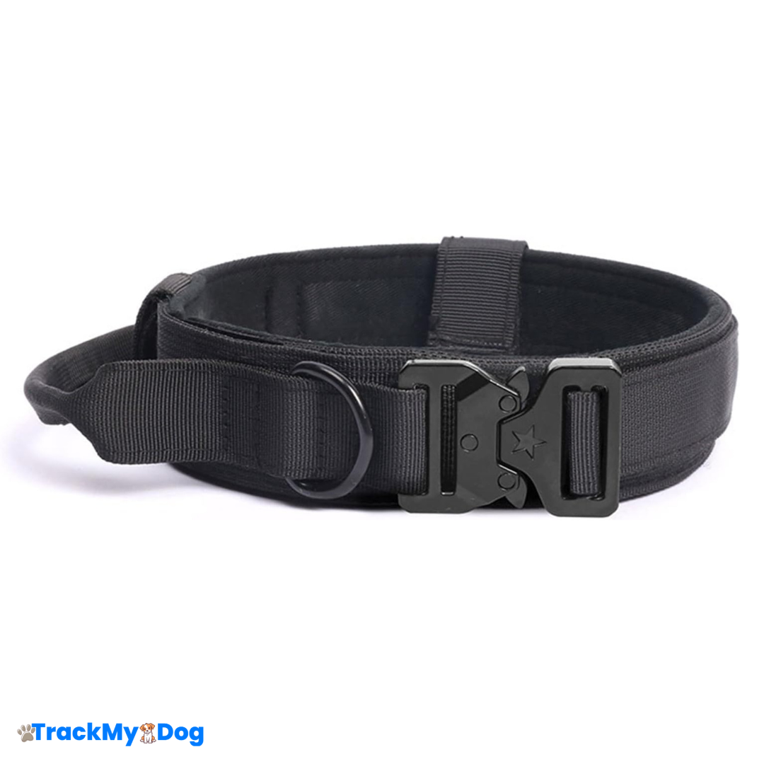 Collier Élégant et Résistant pour Chien
