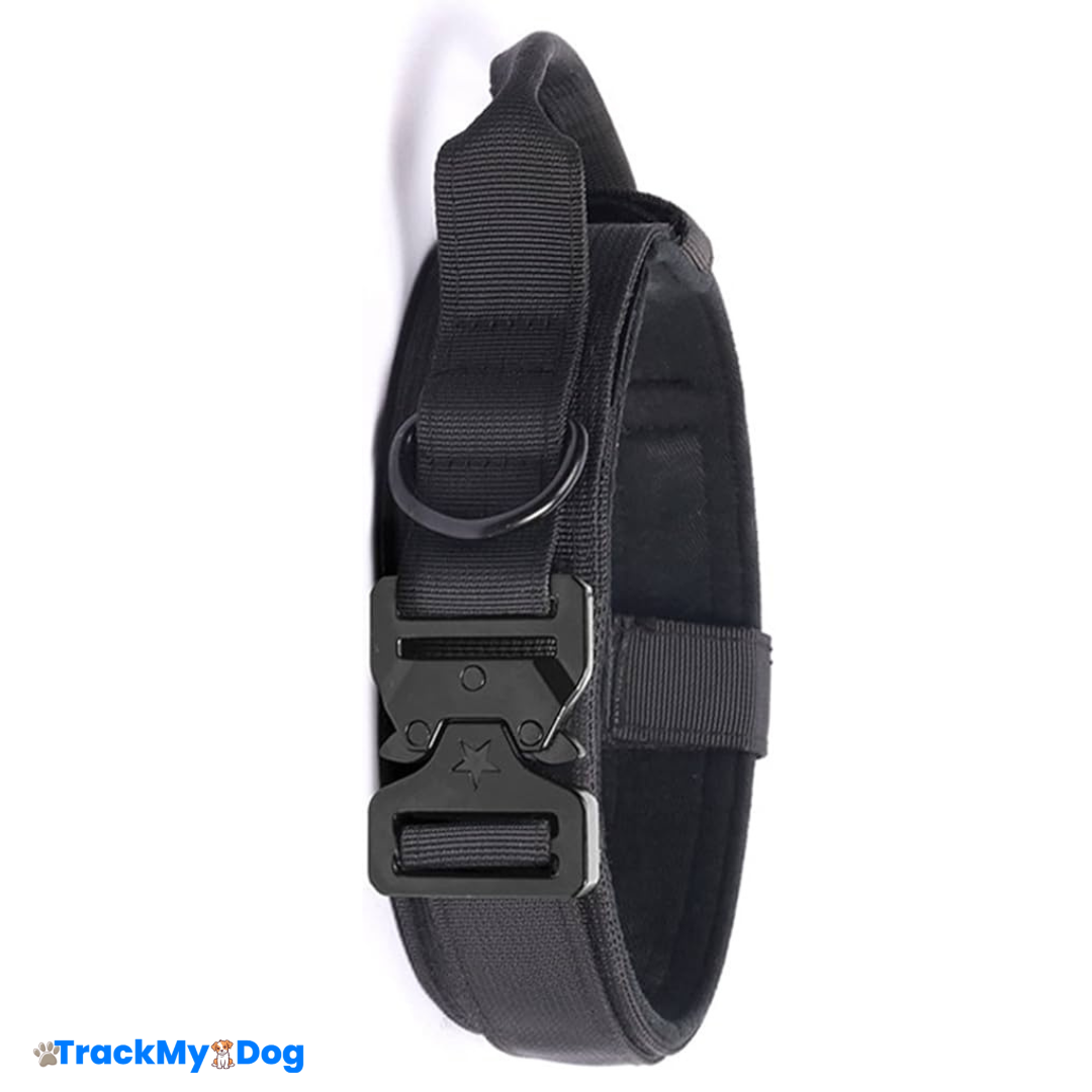 Collier Élégant et Résistant pour Chien