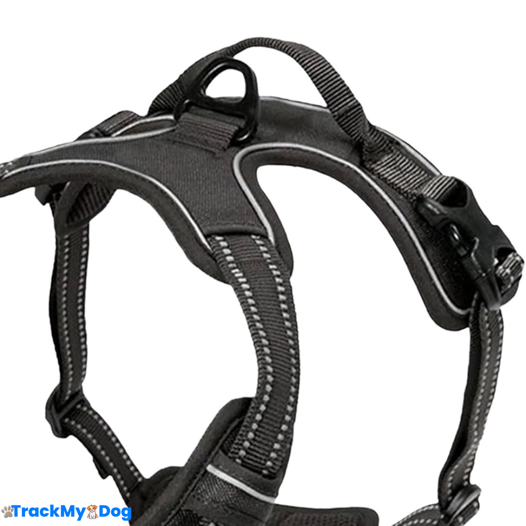 Harnais compatible avec le traceur GPS pour chien