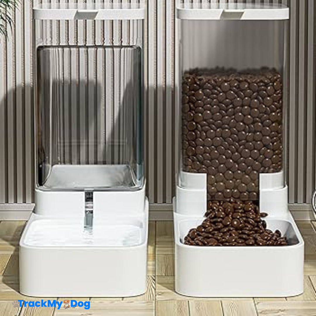Mangeoire & Distributeur d’Eau Automatique