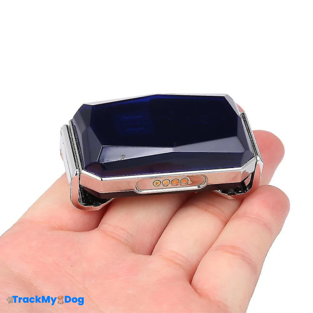 collier GPS TrackMyDog Explore