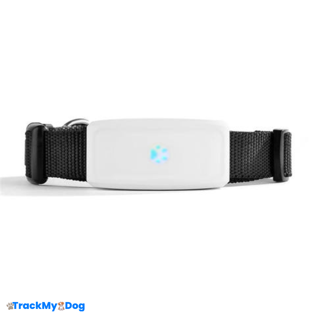 Collier GPS TrackMyDog Pro – Localisation Précise et Autonomie Longue Durée