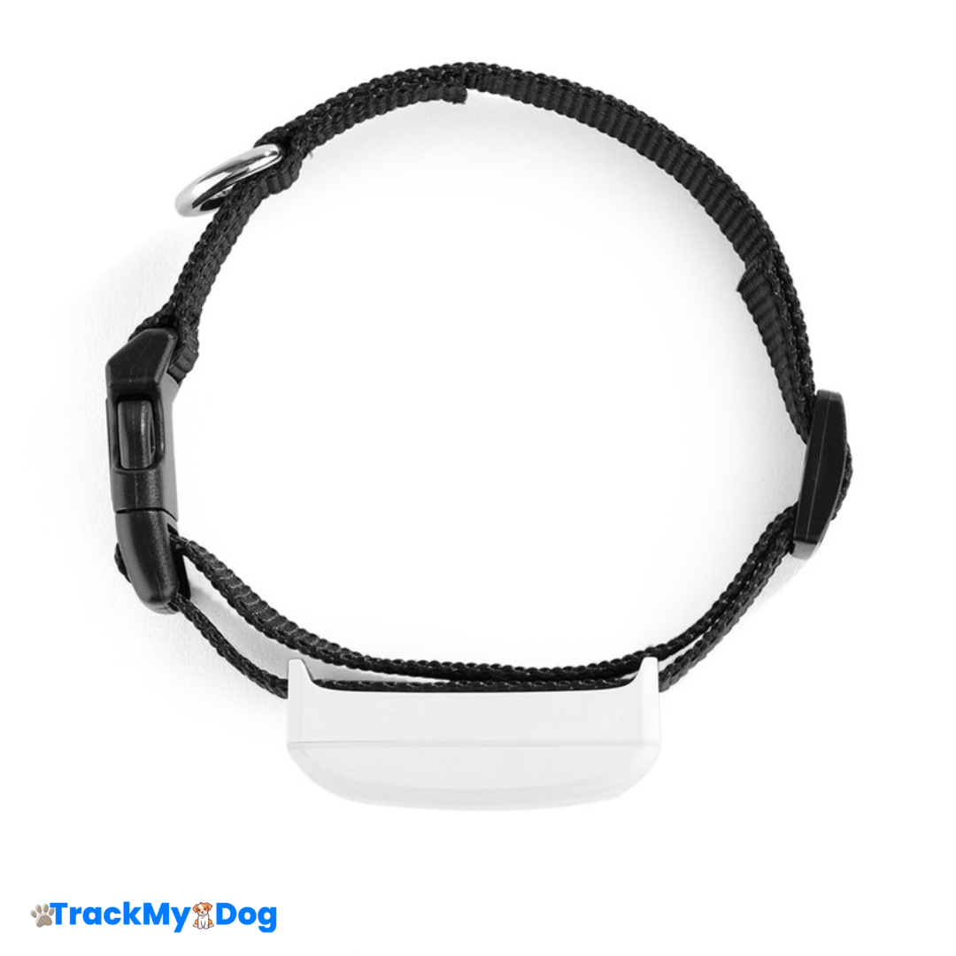 Collier GPS TrackMyDog Pro – Localisation Précise et Autonomie Longue Durée