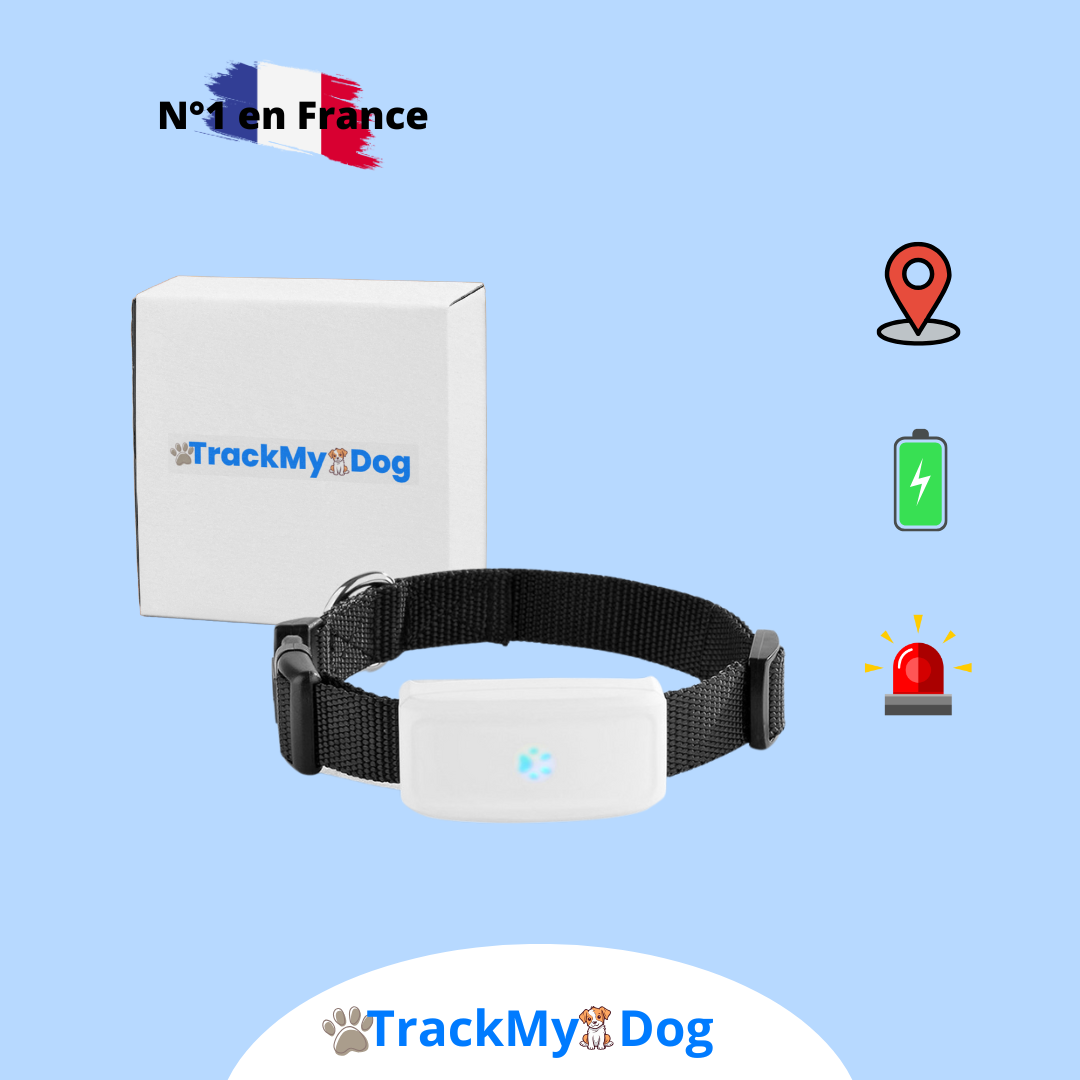 Collier GPS TrackMyDog Pro – Localisation Précise et Autonomie Longue Durée