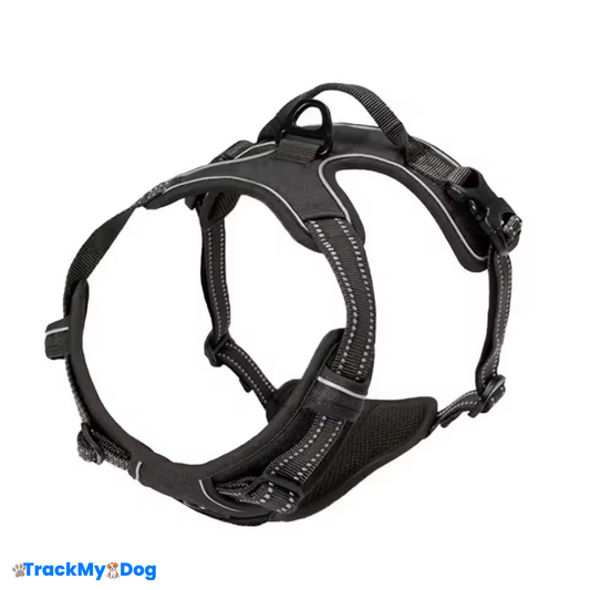 Harnais compatible avec le traceur GPS pour chien