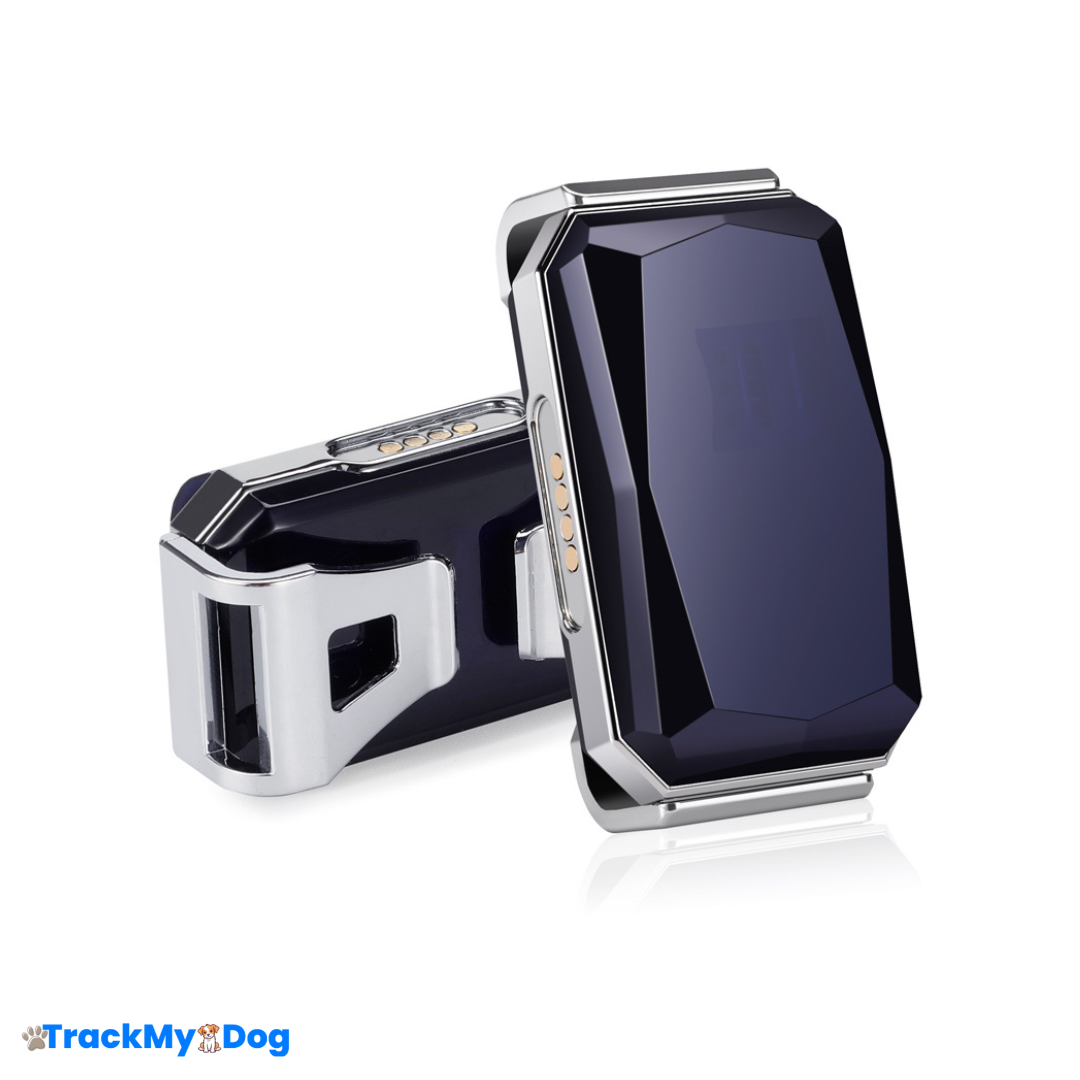 collier GPS TrackMyDog Explore