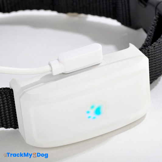 Collier GPS TrackMyDog Pro – Localisation Précise et Autonomie Longue Durée